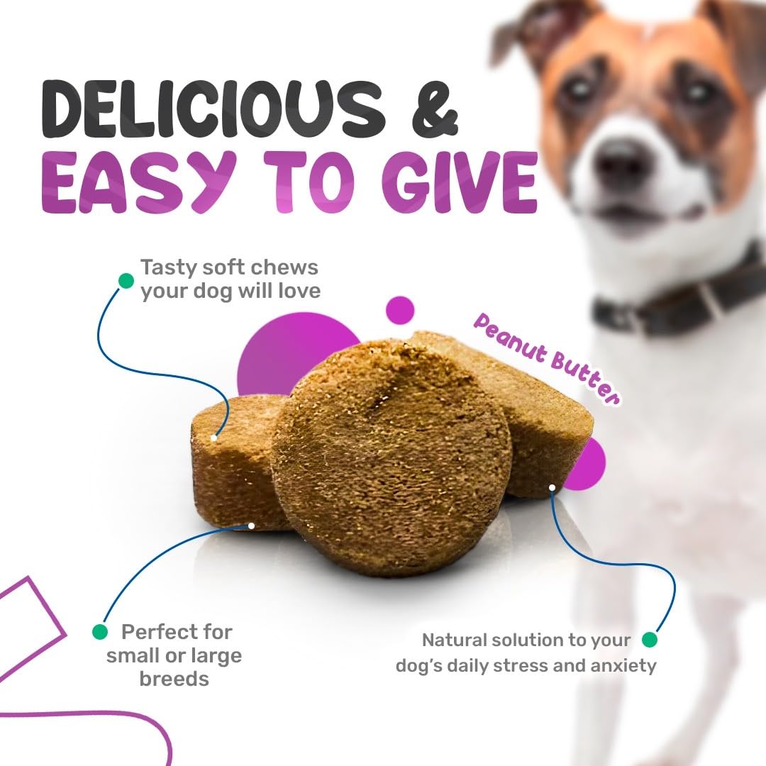 Sniff 'n' Chomp Calm Chews for Dogs Anxiety, Natural Anxiety and Stress Relief, Dog Fireworks Relief, Melatonin for Dog Sleep Aid, Calming Chews for Dogs, Peanut Butter Flavor, 90 Units.