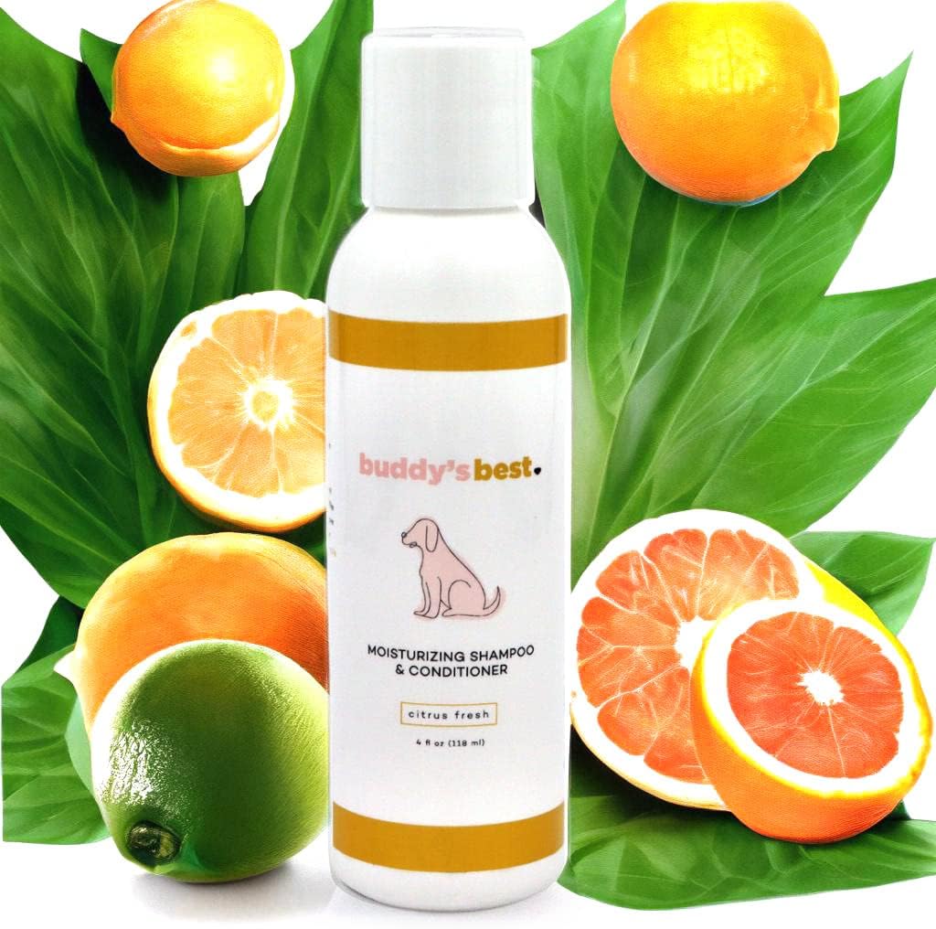 Dog Shampoo for Dry and Itchy Skin Made in The USA by Rockwell Pets Pro (16 fl oz) ideal paw cleaner for dogs with Aloe Vera Argan Oil Natural Willow Meadowsweet Chaparral and Olive Extracts
