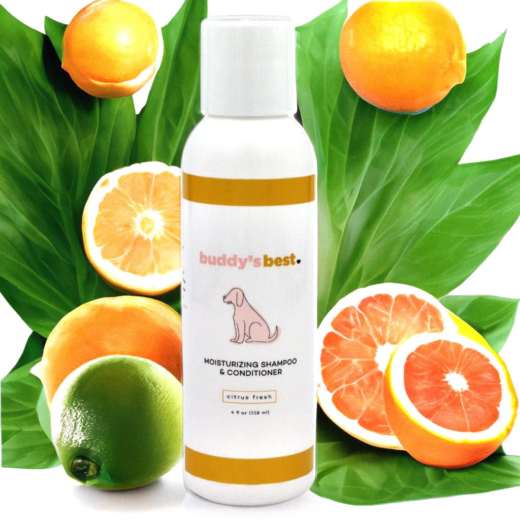Dog Shampoo for Dry and Itchy Skin Made in The USA by Rockwell Pets Pro (16 fl oz) ideal paw cleaner for dogs with Aloe Vera Argan Oil Natural Willow Meadowsweet Chaparral and Olive Extracts