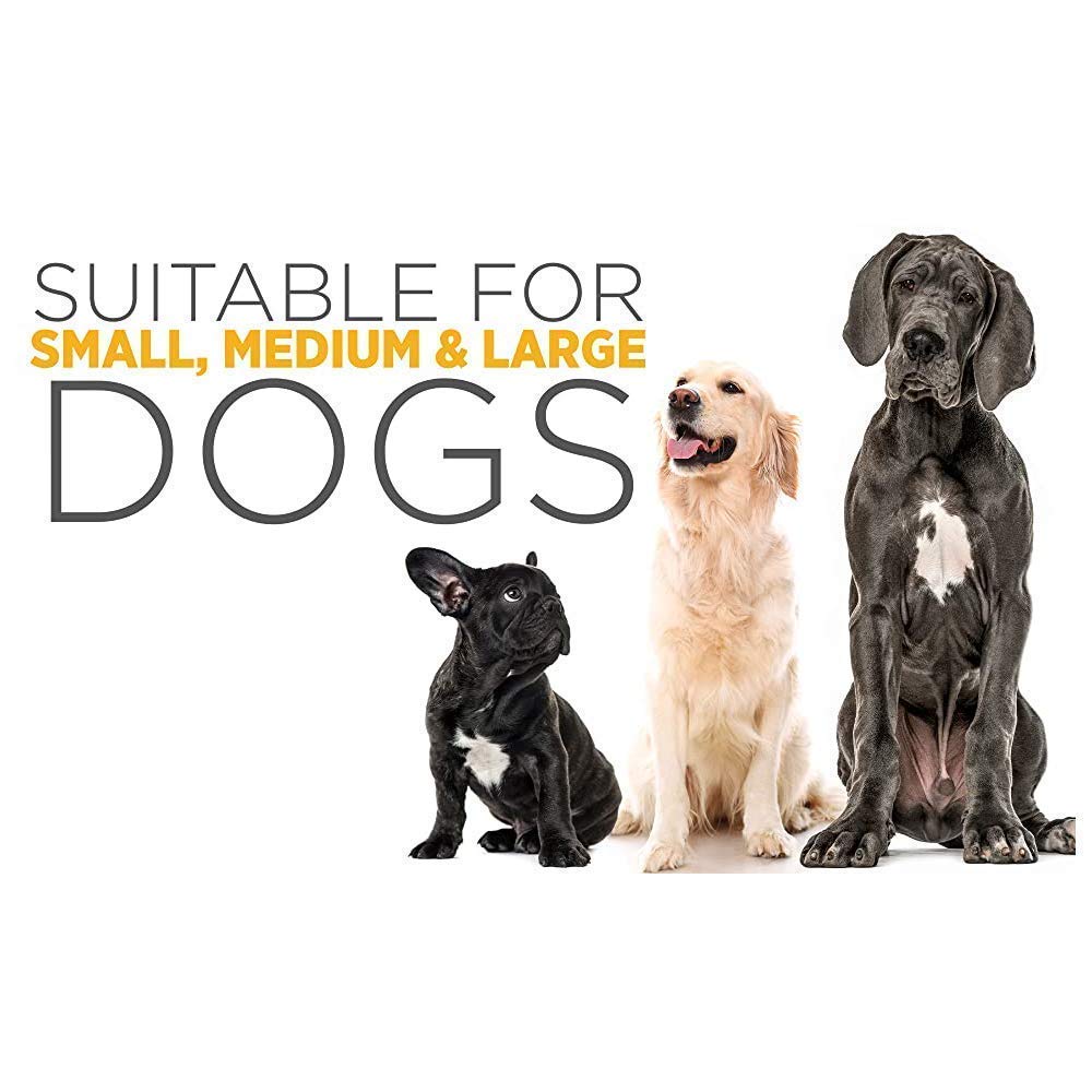 maxxipaws Ultimate Joint Support for Dogs – maxxiflex+ Canine Hip and Joint Supplement & maxxiomega 3 6 9 Omega Fish Oil & maxxiSAMe Advanced SAM-e Support for Dogs