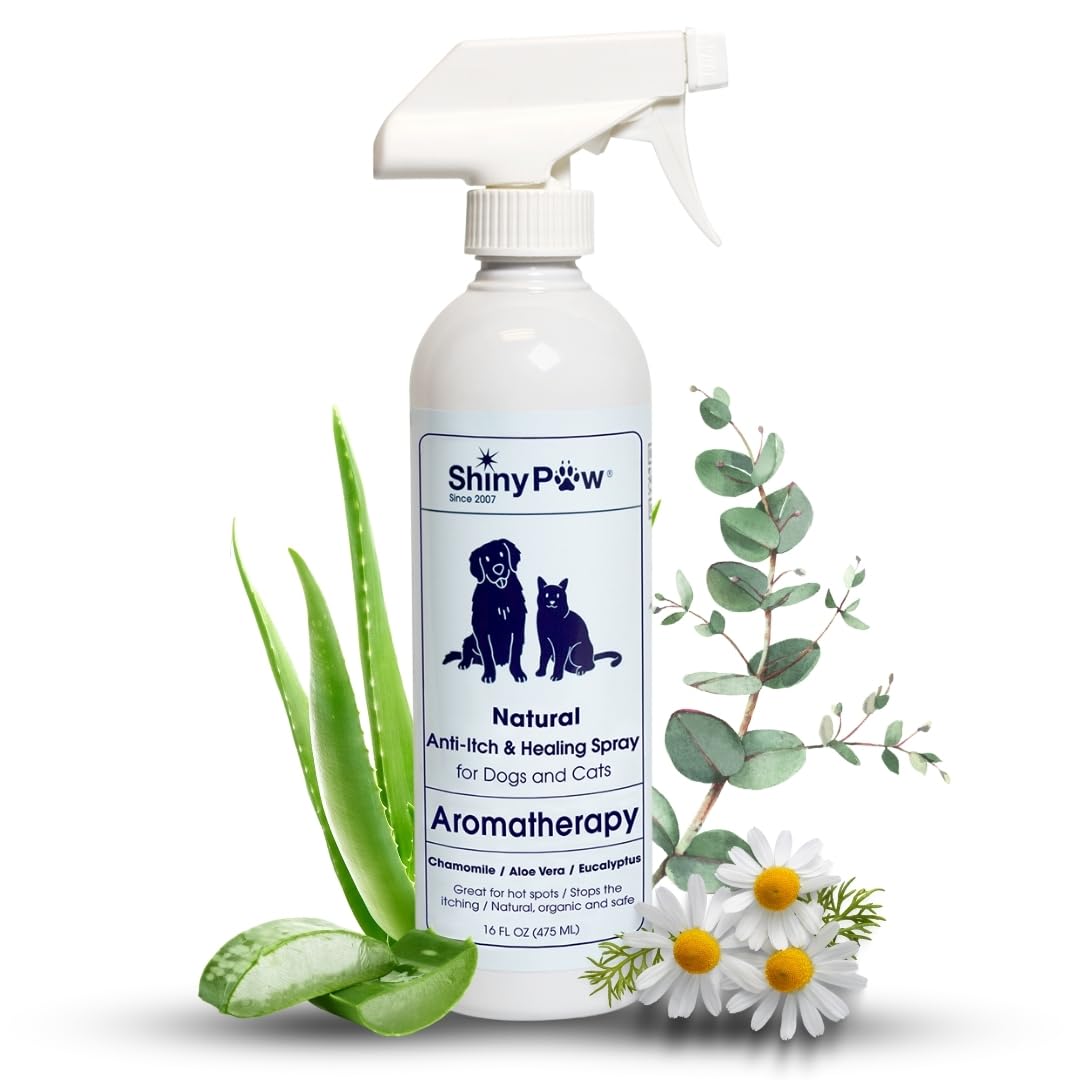 Dog Itch Relief Spray by Shiny Paw 16 oz | Aloe Vera & Eucalyptus Skin Itch Remedy | Dog Hot Spot Spray | Natural Anti Itch Spray for Pets | Dog Itchy Skin Relief | Made in USA