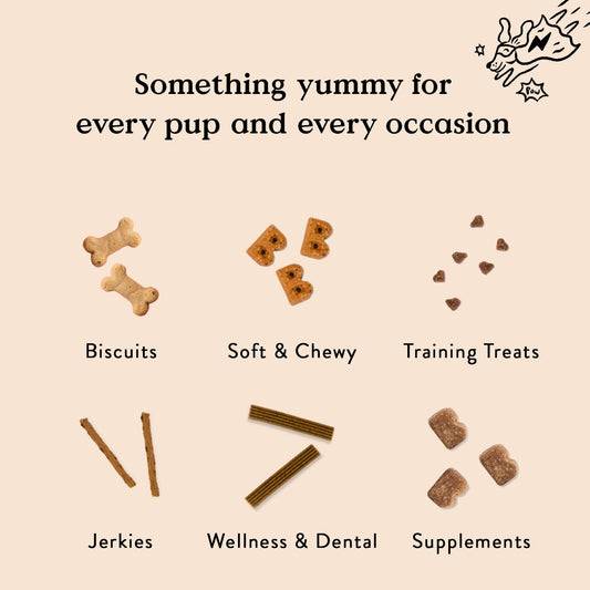 Bocce's Bakery All-Natural, Small Batch, Organic Dog Treats, Pumpk'n Harvest Biscuits, Wheat-Free, Limited-Ingredient, Made in The USA with 100% Recyclable Packaging, 12 oz Bag