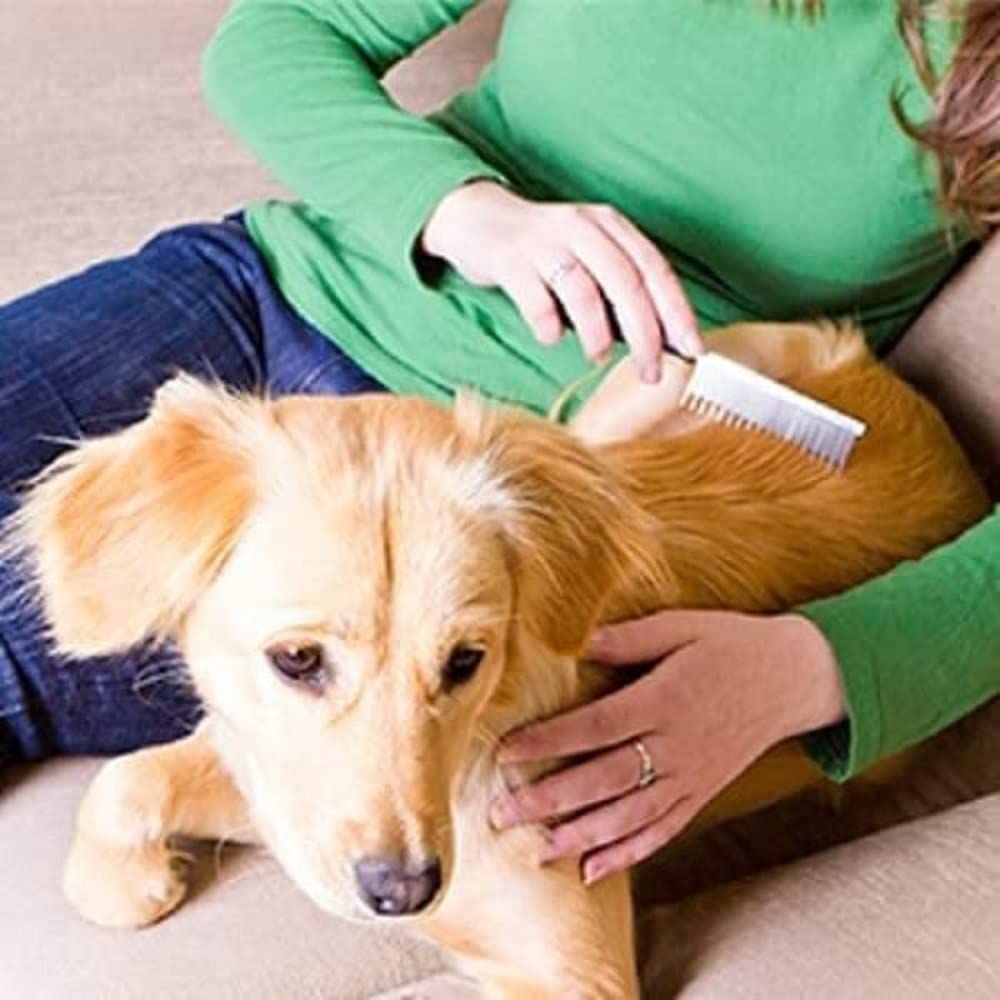 Nature's Specialties Aloe Premium Ultra Concentrated Dog Shampoo Conditioner for Pets, Makes up to 2 Gallons, Natural Choice for Professional Groomers, Herbal Aloe Infused Formula, Made in USA, 16 oz
