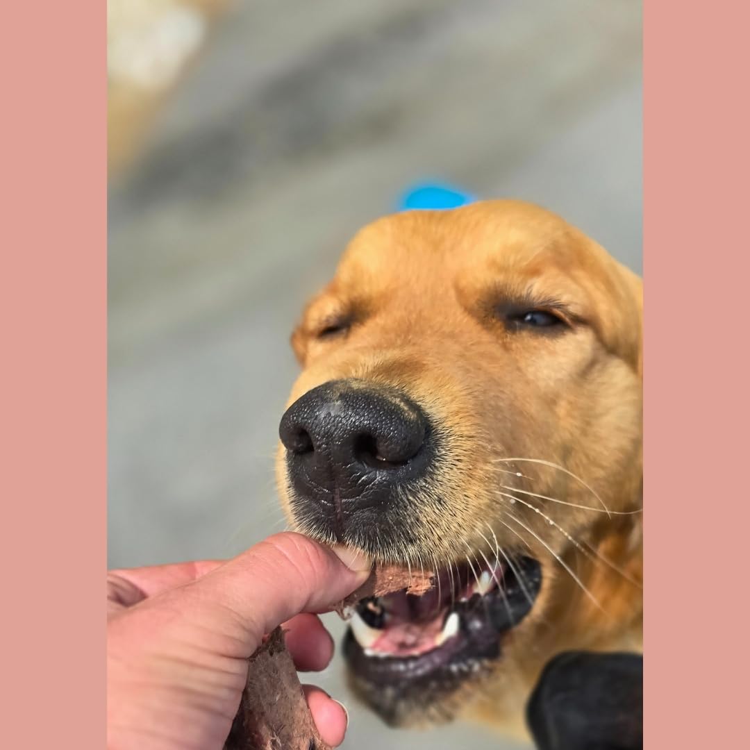 BJ'S RAW PET FOOD Freeze Dried Vitality Complete Mix Protein Rich Nutritious Meal for Optimal Health Made in USA, 14-Ounce