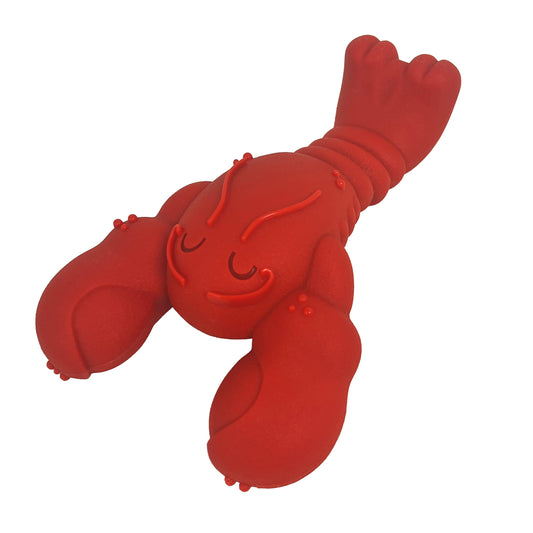 Quizvi Dog Chew Toy for Aggressive Chewers – Tough Nylon Bone with Bacon Flavor for Pitbulls & Large Dogs, Indoor Play for Teeth Cleaning & Anxiety Relief
