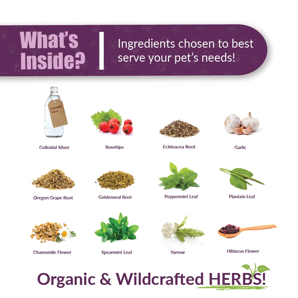 Amber NaturalZ Paxaid Digestive Rescue Herbal Supplement for Dogs and Puppies | Canine Herbal Supplement for Occasional Digestive Upset Support | 4 Fluid Ounce Glass Bottle | Manufactured in The USA