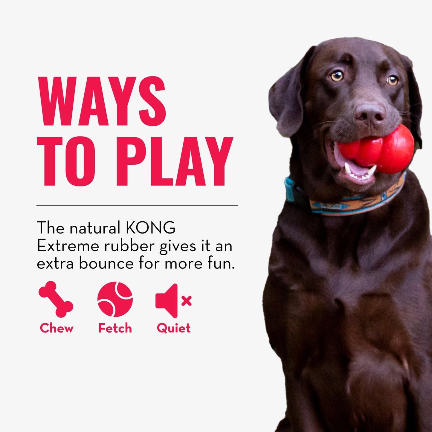 KONG Extreme Ball with Hole - Fetch Toy - Durable Dog Toy for Training, Interactive Playtime & More - Natural Extreme Rubber Ball - Black - for Large/Medium Dogs