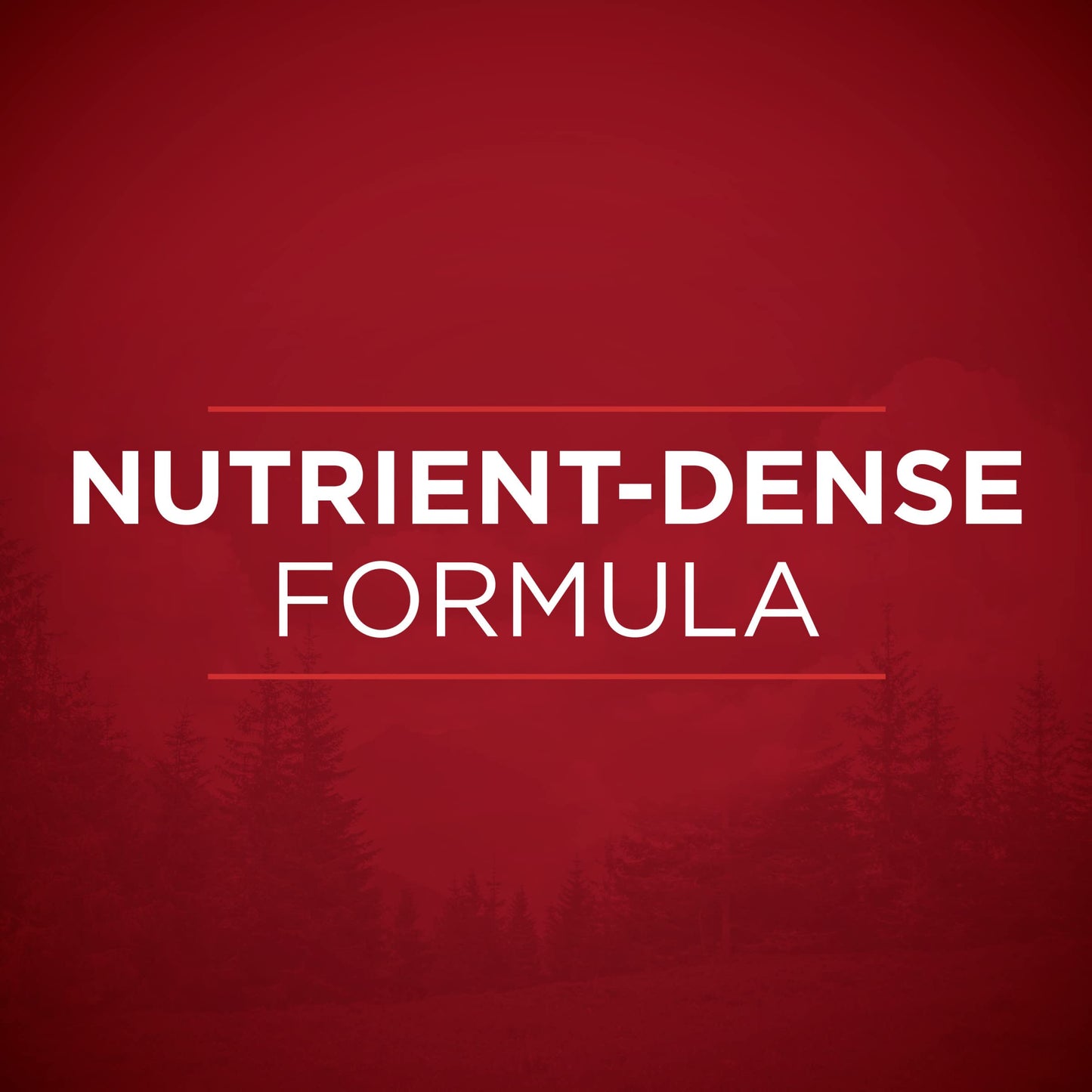 Purina ONE High Protein Wet Dog Food True Instinct Tender Cuts in Dog Food Gravy With Real Chicken and Duck - (Pack of 12) 13 oz. Cans