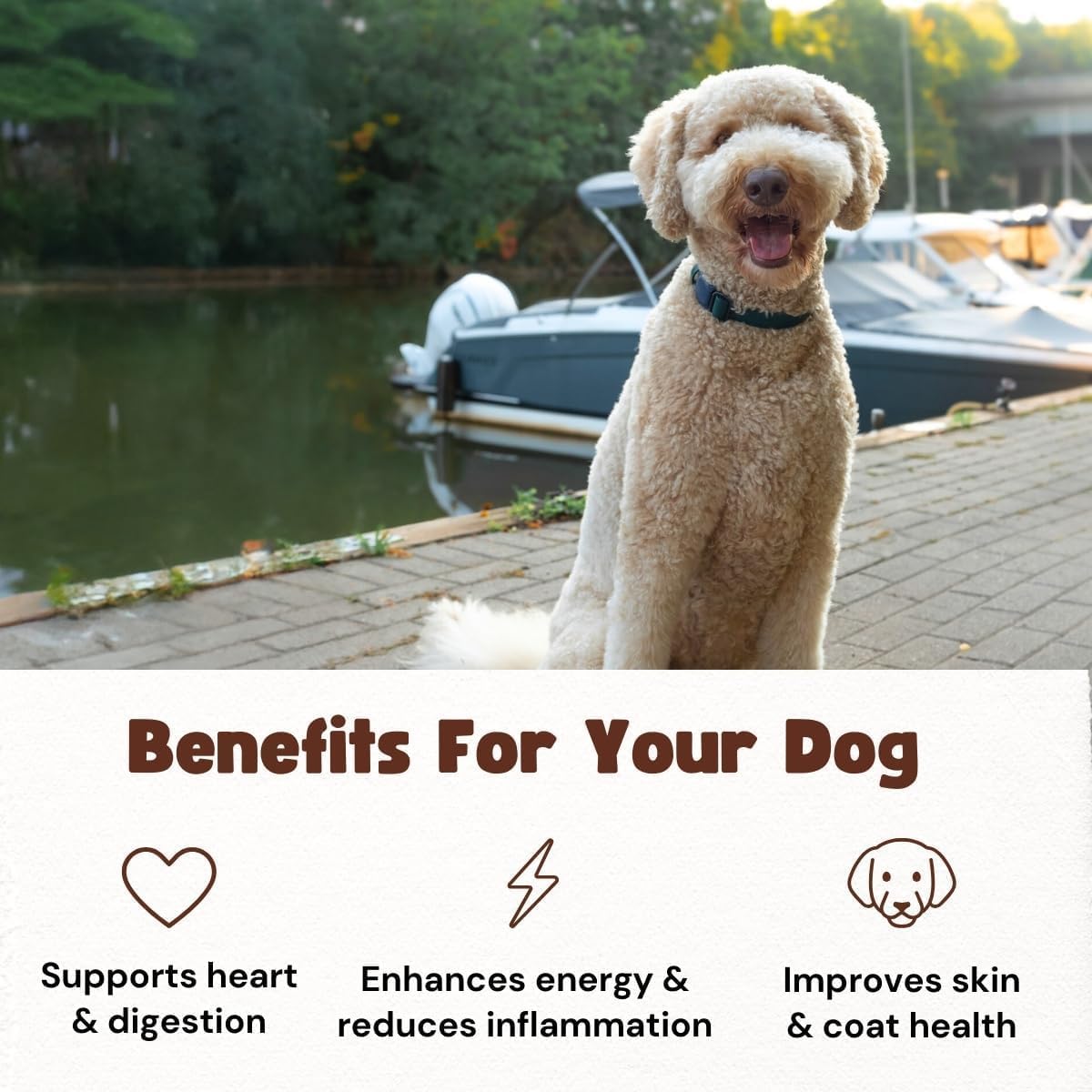 Fish Dog Treats for Small, Medium, Large Dogs | One-Ingredient Natural Organic Dog Training Treats | Human-Grade, High-Protein, Low-Fat, Omega 3, Grain-free | Satisfy Urge to Chew (1LB/16oz Bag)