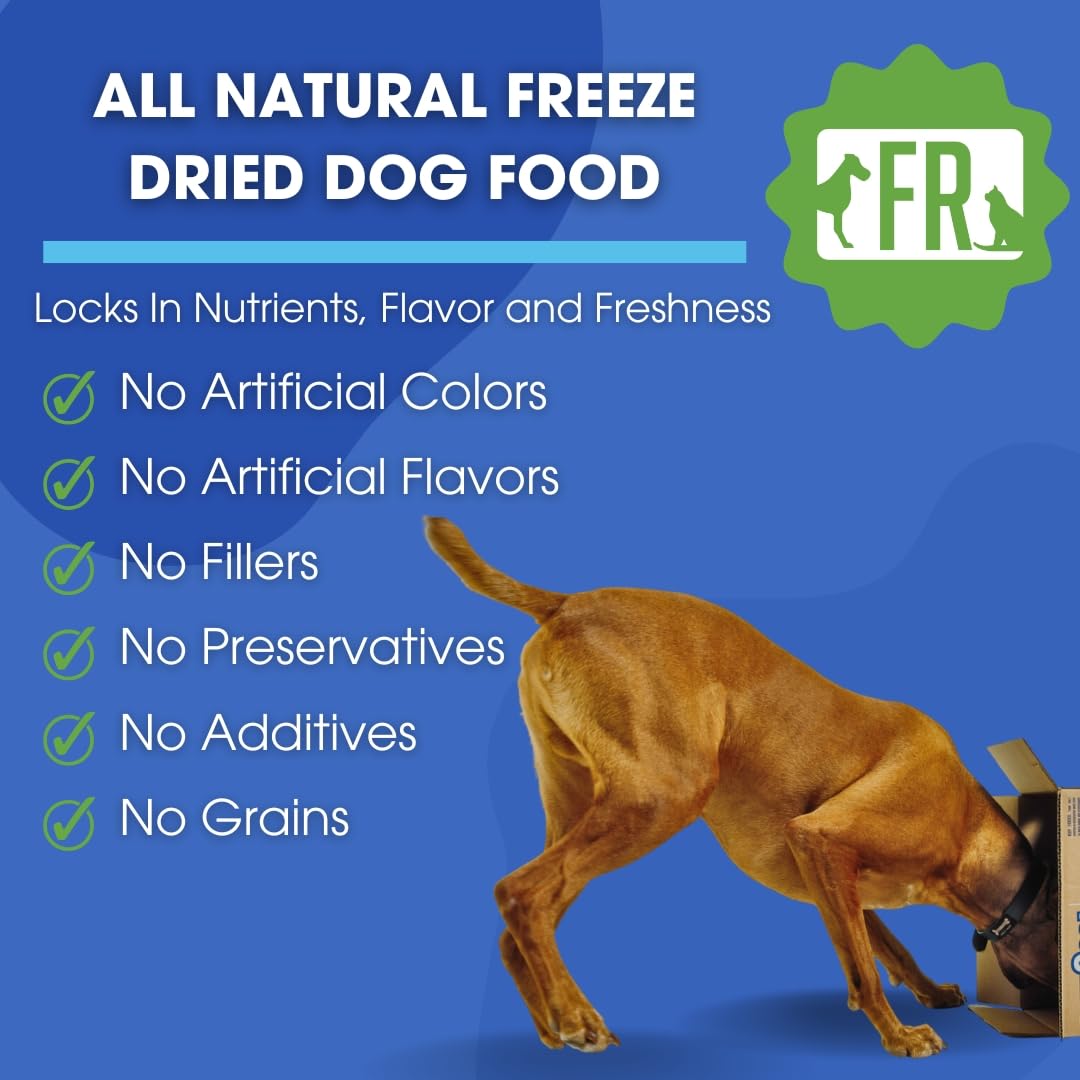 Formula Raw Freeze-Dried Raw Dog Food – Lamb – High Protein, Grain-Free, No Fillers or Additives, Meal Mixer or Topper, Supports Healthy Digestion, Joints, and Coat – 1.55 lb