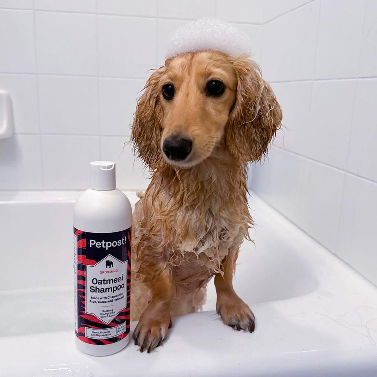 Petpost | Oatmeal & Chamomile Dog Shampoo. Soothes Dry, Sensitive Skin, Moisturizes & Softens Coat with Aloe & Yucca. 16 oz
