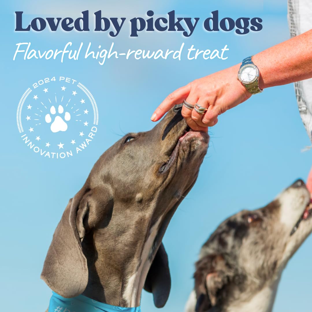 healthybud Mini Dog Training Treats - Soft, Low-Calorie Beef Liver Dog Treats for Training Puppies & Small Dogs - 500+ Bites with Reishi, Lion’s Mane, Salmon Oil, Puppy Chews (Beef) 6.5oz