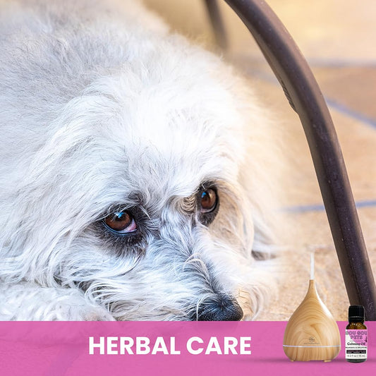 Gou Gou Pets Holistic Natural Derived Calming Pet Essential Oil Blend & Diffuser Set for Anxiety: Relax Your Pet with Natural and Clean Ingredients While Providing Stress Relief - Made in USA – 15mL