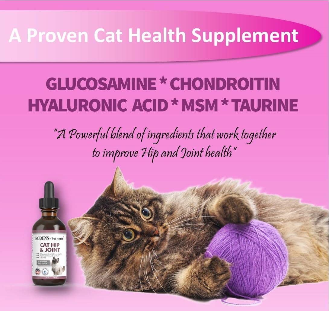 Nodens Cat Hip and Joint and Small Dog Hip and Joint 100% Natural Glucosamine for Cats and Small Dogs. Chondroitin, MSM, Hyaluronic Acid Arthritis Pain Relief for Cats and Dog Joint Pain. Made in USA