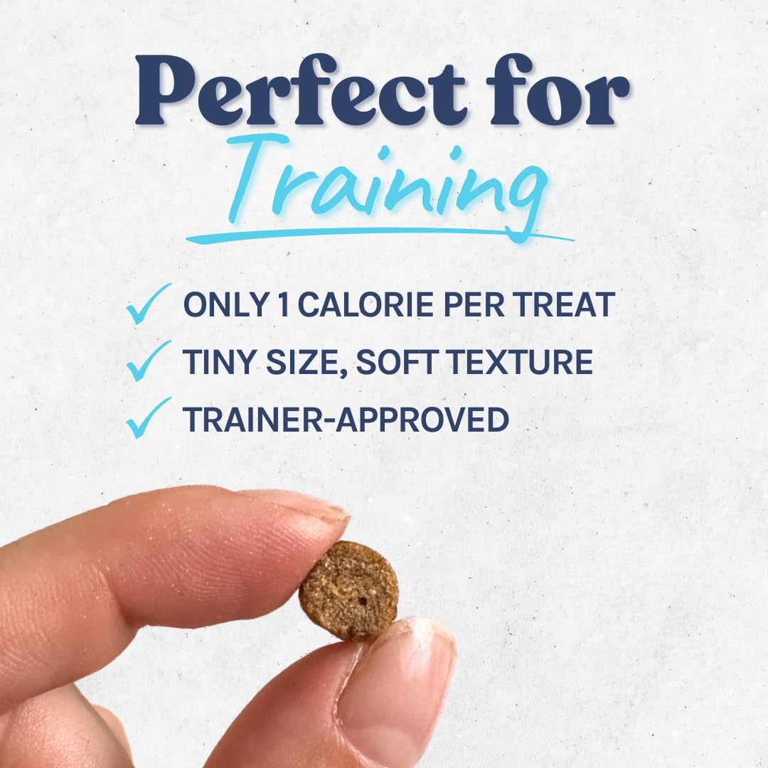 healthybud Mini Dog Training Treats - Beef Liver Soft Trainer Bites, 500+ Bits, 1 kCal per Bite, 6.5oz, Reishi, Lion’s Mane, Salmon Oil, Puppy Chews (Chicken)