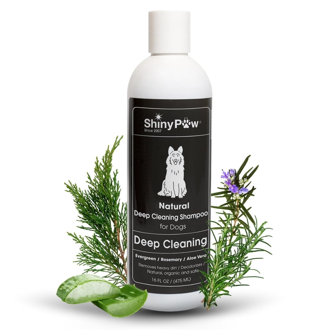 Shiny Paw Natural Deep Cleaning Organic Dog Shampoo 16 oz | Dog Itching Skin Relief with Evergreen, Aloe & Rosemary | Natural Dog Shampoo for Smelly Dogs