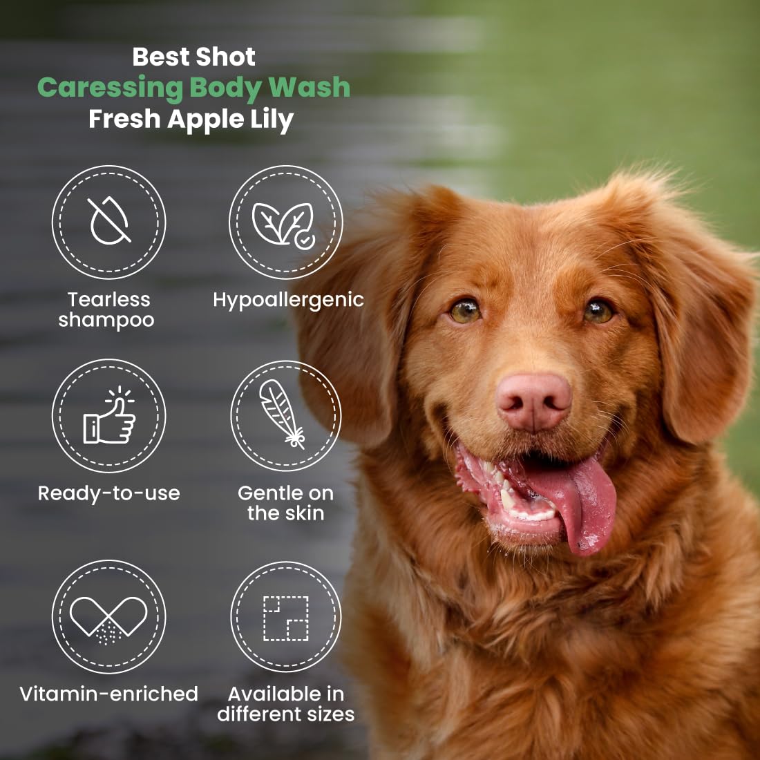 Best Shot Scentament Spa Caressing Body Wash, Fresh Apple Lily, 16 oz