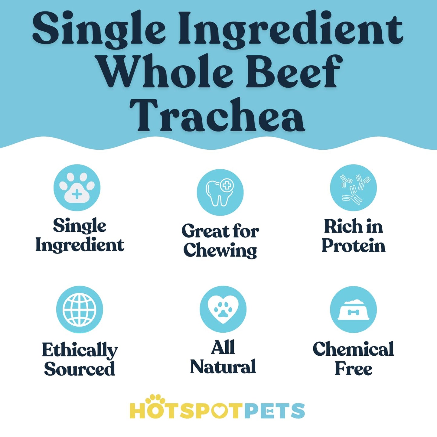 hotspot pets Premium 12'' Beef Trachea for Dogs Large - (5 Pack) All Natural Long Lasting Dog Chews Rich in Glucosamine & Chondroitin 100% Beef Chews Single Ingredient Grass Fed Dog Treats