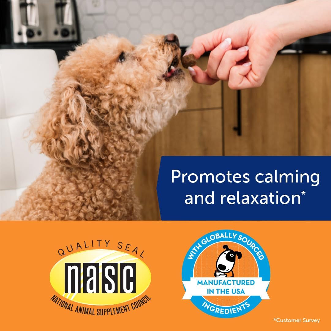 ThunderWunders Hemp Dog Calming Chews | Vet Recommended for Situational Anxiety | Fireworks, Thunderstorms, Travel & More | Made with Hemp Seed, Thiamine, L-Tryptophan, Melatonin & Ginger (180 Count)