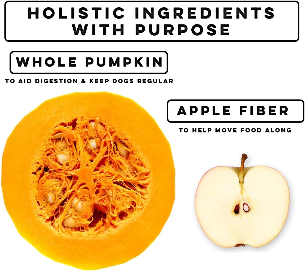 Nature's Diet Pet Dried Pumpkin Powder Digestive Support Natural Fiber for Firm Stool, Regularity (16 oz = 53 Servings)