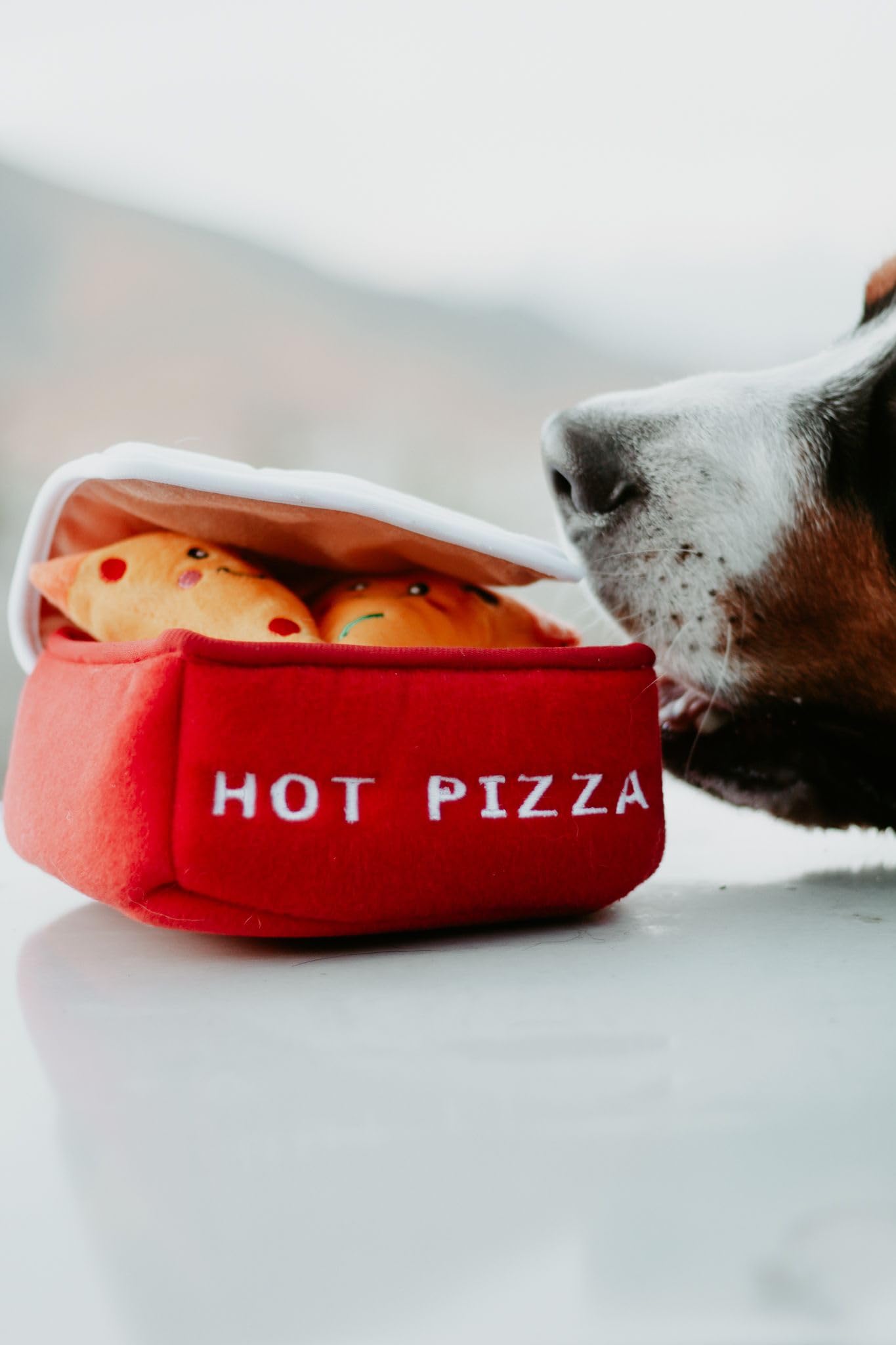 ZippyPaws Burrow- Interactive Dog & Puppy Toys for Boredom, Stimulating Pet Products to Keep Them Busy, Hide & Seek Plush Dog Puzzle, Enrichment Squeaky Toy, for Small & Medium Dogs- Pizza Box