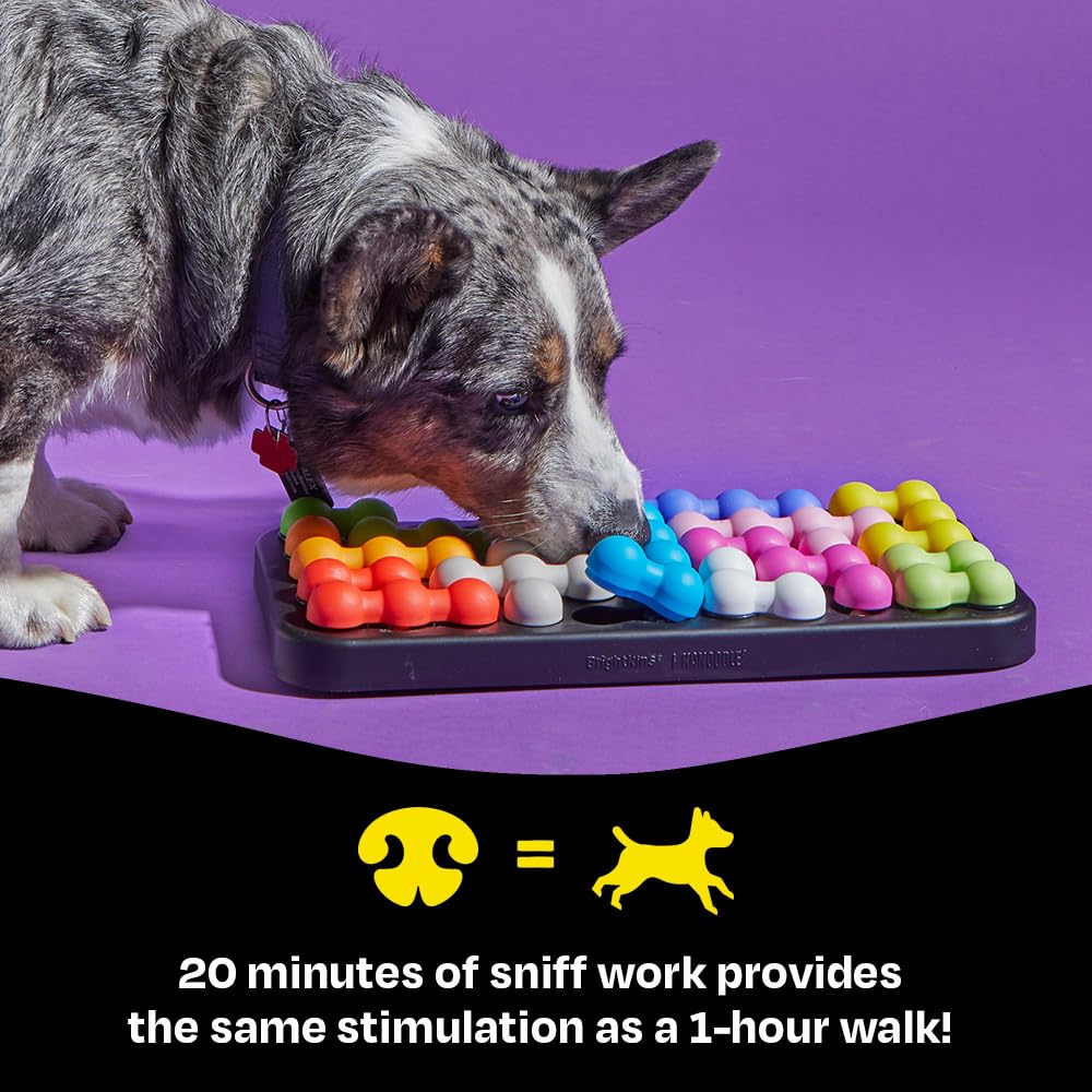 Brightkins Kanoodle Dog Edition Large, Interactive Dog Toys, Enrichment Toy for Dogs, Slow Feeder