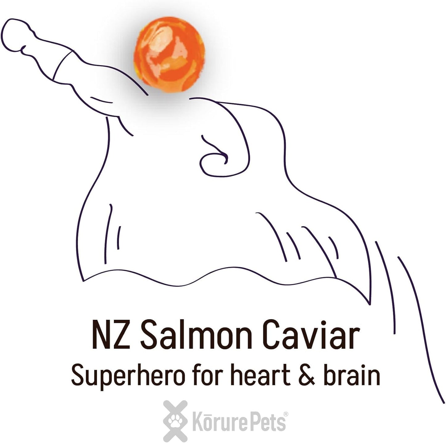 Zignature Turkey Limited Ingredient Formula Dry Dog Food 25lb