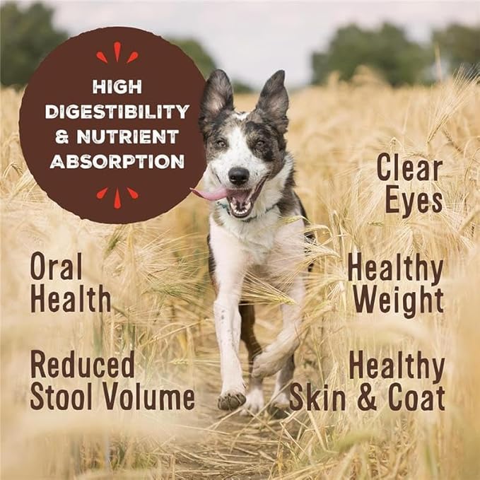 Primal Freeze Dried Dog Food, Pronto Mini Nuggets, Lamb; Scoop & Serve, Complete & Balanced Meal; Also Use as Topper or Treat; Premium, Healthy, Grain Free, High Protein Raw Dog Food (25 oz, 2-Pack)