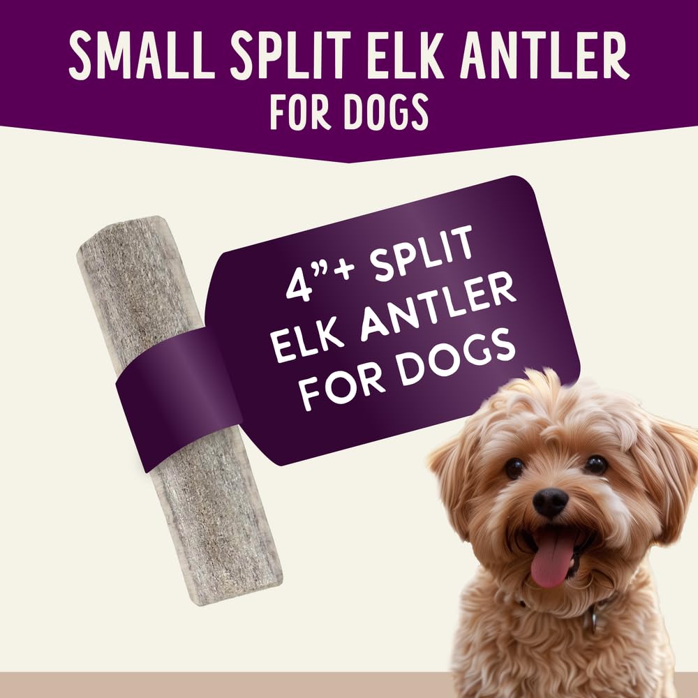 Health Extension Small Sliced Elk Antlers for Dogs – Long-Lasting Natural Chews for Dental Health, Puppy Training & Aggressive Chewers