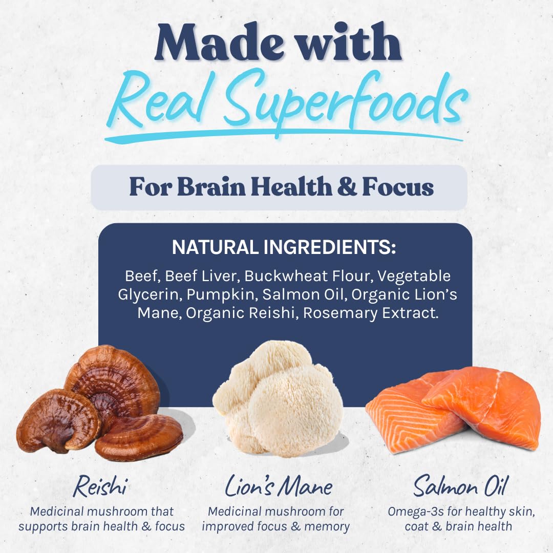 healthybud Mini Dog Training Treats - Beef Liver Soft Trainer Bites, 500+ Bits, 1 kCal per Bite, 6.5oz, Reishi, Lion’s Mane, Salmon Oil, Puppy Chews (3 Pack Beef)