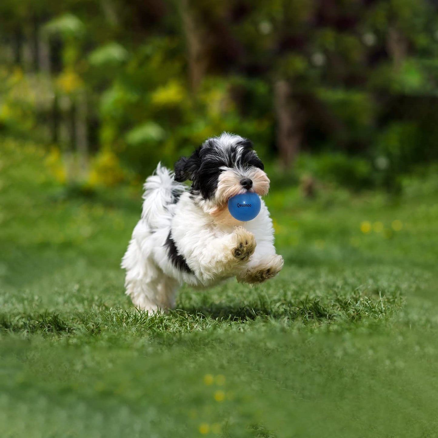 Qesonoo Dog Balls Indestructible,Solid Rubber Bouncy for Dogs Aggressive Chewers Small Breed,Non-Toxic&Floating&High Elasticity,Durable Fetch Ball Small to Chew,Play and Training