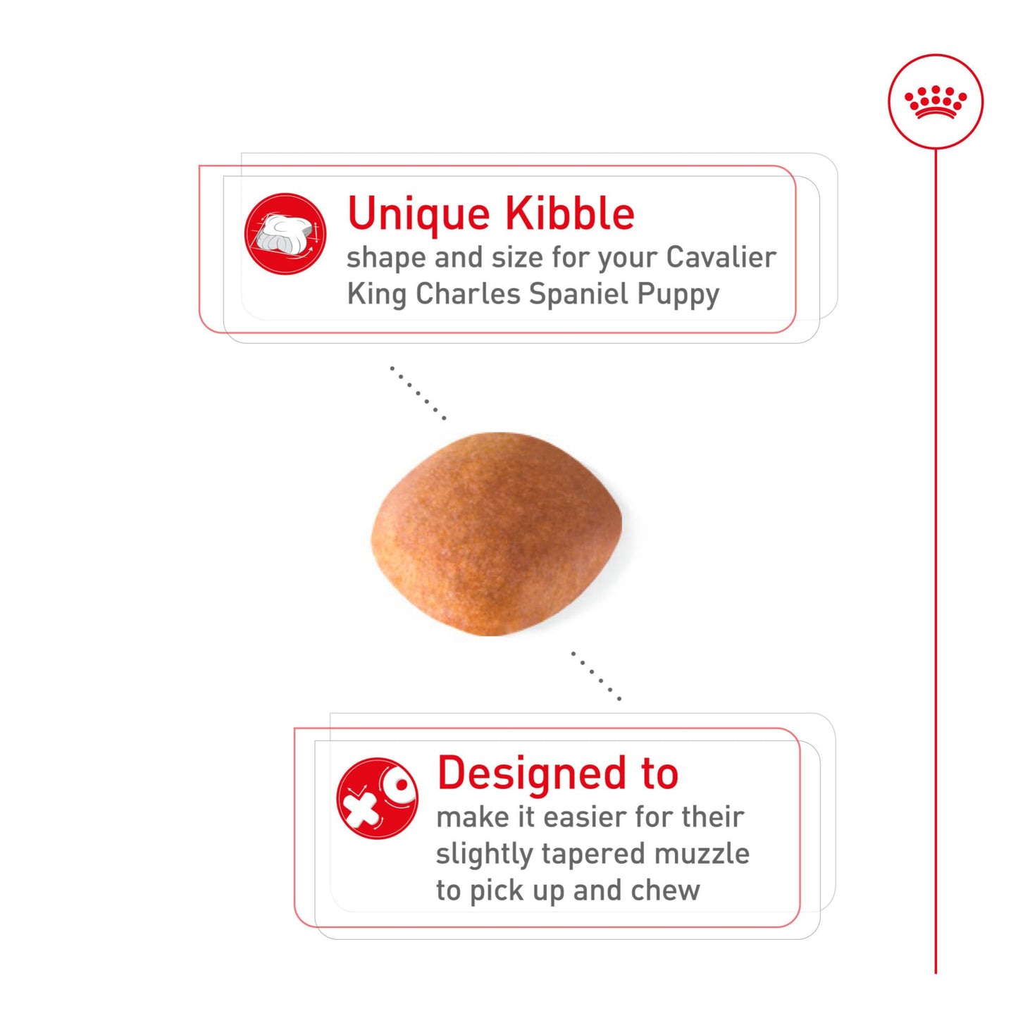 Royal Canin Breed Health Nutrition Cavalier King Charles Spaniel Puppy Dry Dog Food, 3 lb Bag