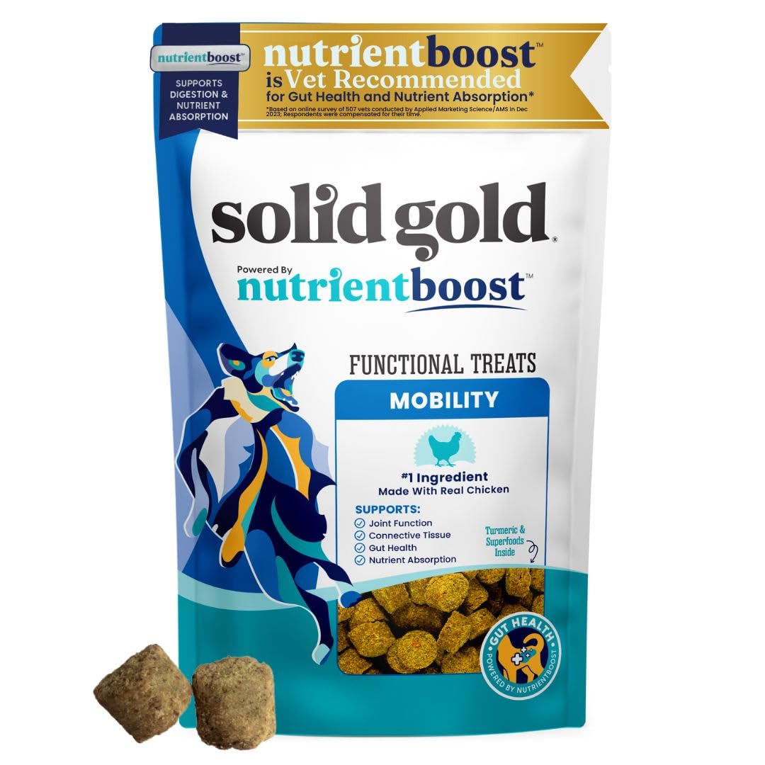 Solid Gold Healthy Dog Treats - Functional Chicken Dog Treat w/Glucosamine Chondroitin for Mobility & Joint Support - Training Treats for Dogs w/Salmon Oil & Superfoods - All Ages & Sizes - 5.2oz