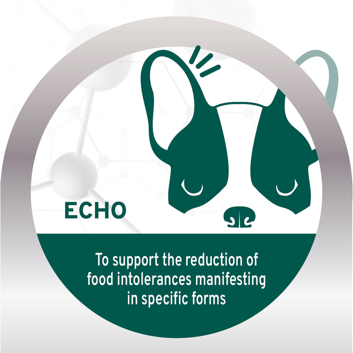 Forza10 Active Echo Support Diet Dry Dog Food – Supports Ear Health & Food Sensitivities - Limited Ingredient Formula with Anchovies, Rose HIPS & Tea Tree - Non-GMO & Grain-Free - 22 lb Bag