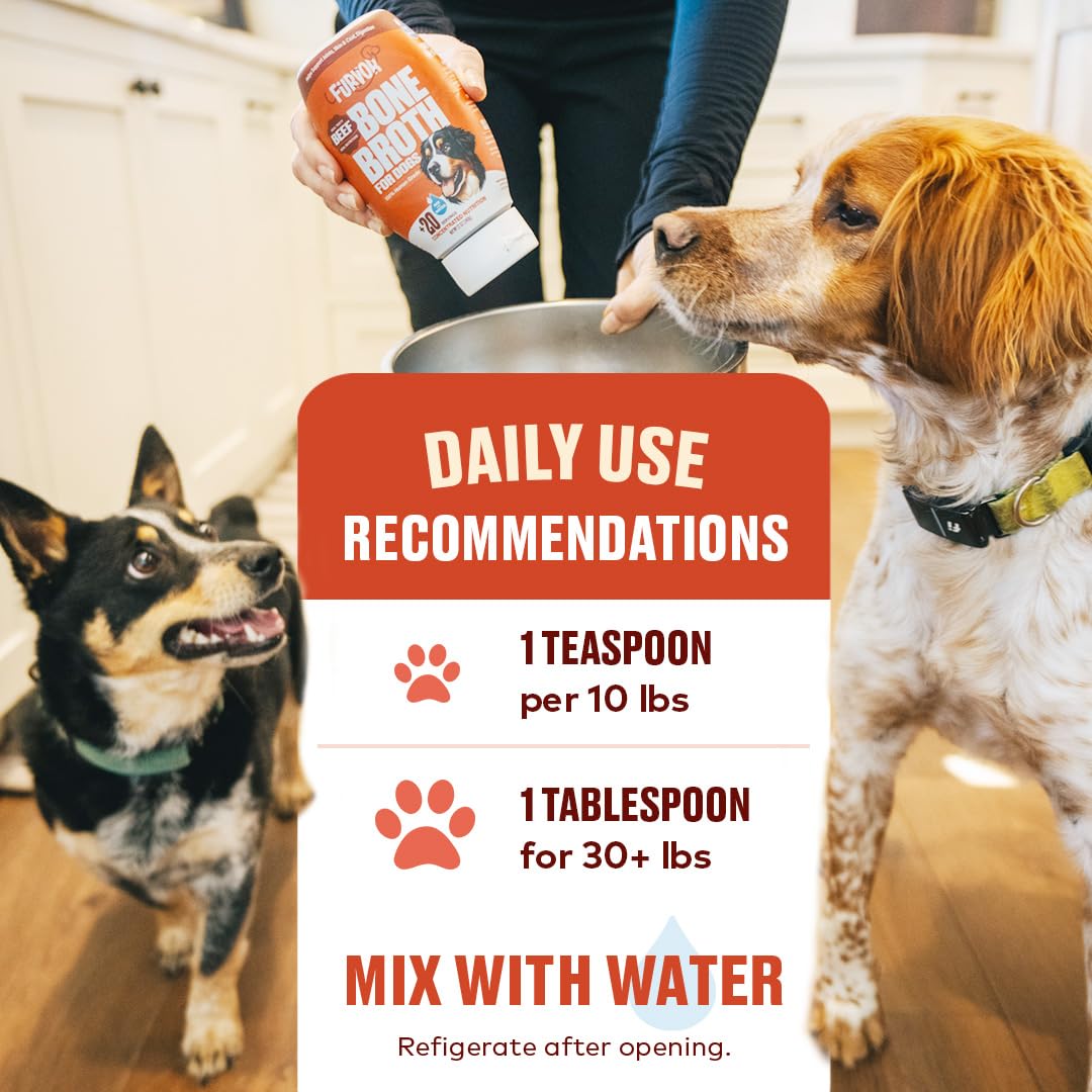 Beef Bone Broth Concentrate for Dogs - Collagen Protein Supplement - Digestion, Mobility, Coat, Immune System, Joints - Healthy Dog Food Gravy Topper - Human Grade, Made in USA (12 oz, 20 Servings)