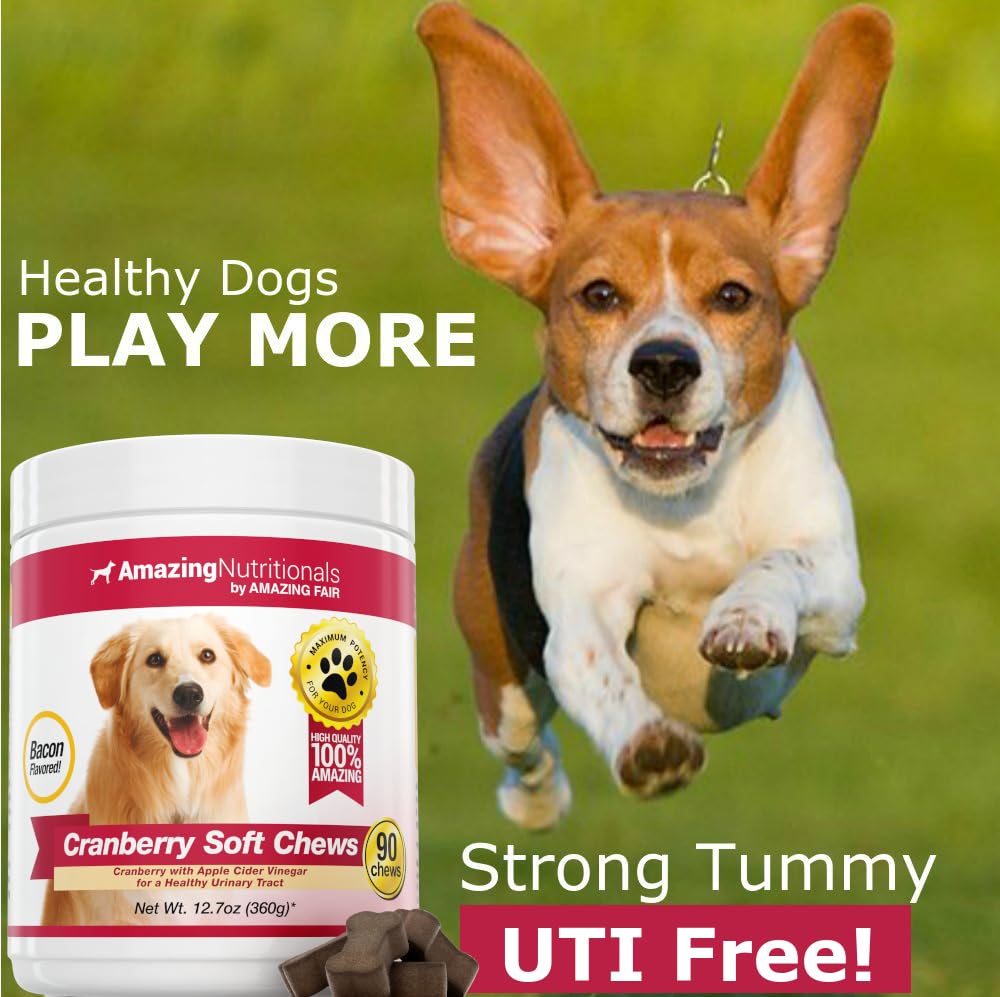 Joint Support Skin and Coat UTI Treatment Soft Chew Bundle - Turmeric, Omega and Cranberry - Eliminates Joint Pain Inflammation, Itchy Skin, Shedding, and UTI Prevention