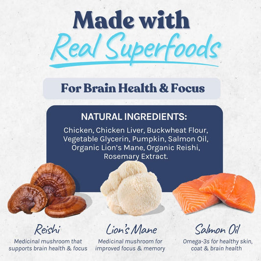 healthybud Mini Dog Training Treats - Beef Liver Soft Trainer Bites, 500+ Bits, 1 kCal per Bite, 6.5oz, Reishi, Lion’s Mane, Salmon Oil, Puppy Chews (Chicken)