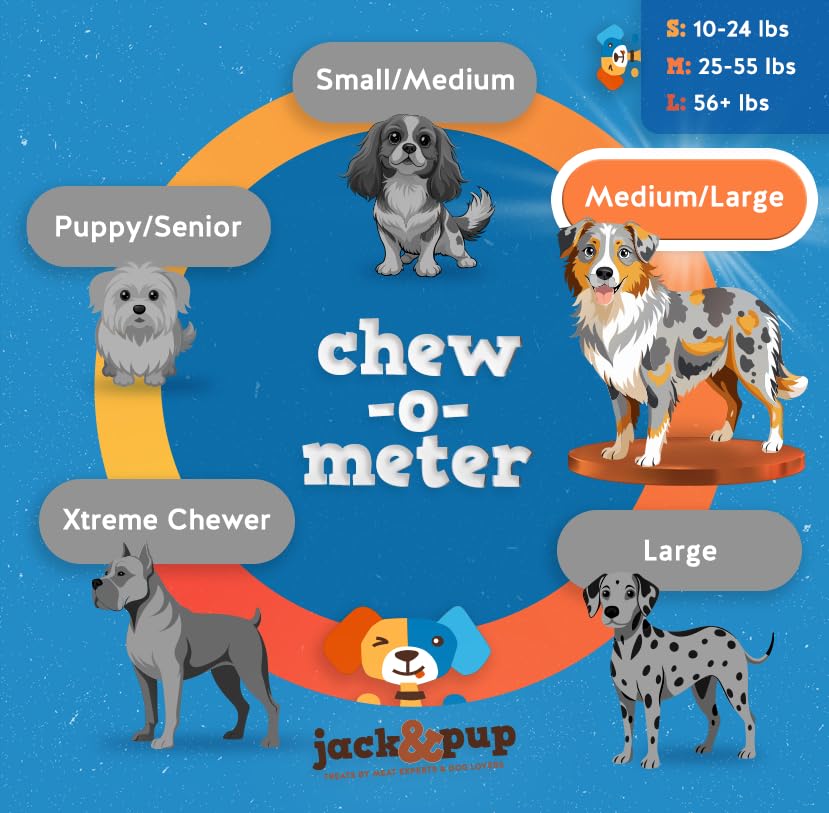 Jack&Pup 12 Inch Bully Sticks for Large Dogs (5 Pack) Thick Odor Free Bully Sticks, Long Lasting Pizzle Sticks for Dogs