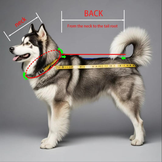 Sled Dog Chest and Back Harness, Suitable for Medium and Large Dogs, Husky Alaskan Snowboard Leash Traction Rope, Dog Weight Pulling Safety Belt (Blue, XL)