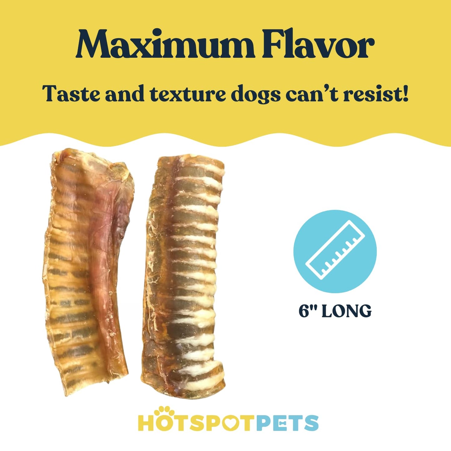 hotspot pets Premium Beef Trachea for Dogs 6" Strips Split - (40 Pack) All Natural Grass-Fed Beef Dog Chews, Rich in Glucosamine Chondroitin for Joint Health, Single Ingredient No Rawhide Dog Treats