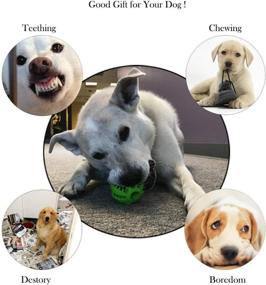 2 Dog Toys Chew Two Toys for Dogs Puppy Chew Toys Dog Teething Toys Indestructive Dog Toys Dog Dental Toys Interactive Dog Toy Dog Puzzle Toys for Small Dogs