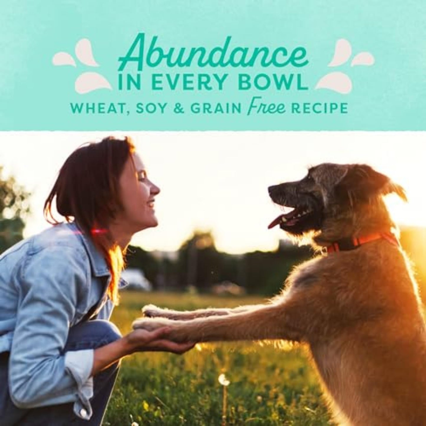 ACANA Singles Limited Ingredient Grain Free High Protein Dry Dog Food Beef & Pumpkin Recipe 4.5lb Bag