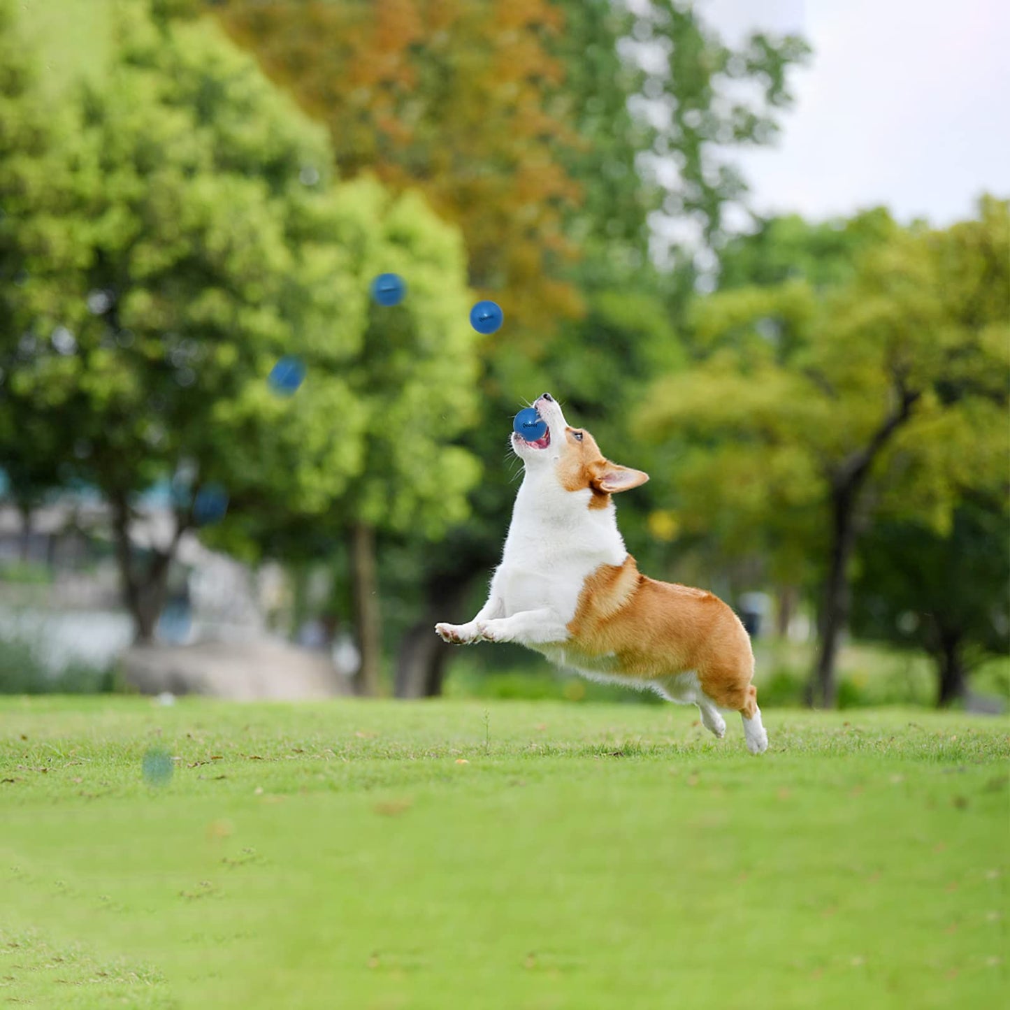 Qesonoo Dog Balls Indestructible,Solid Rubber Bouncy for Dogs Aggressive Chewers Small Breed,Non-Toxic&Floating&High Elasticity,Durable Fetch Ball Small to Chew,Play and Training