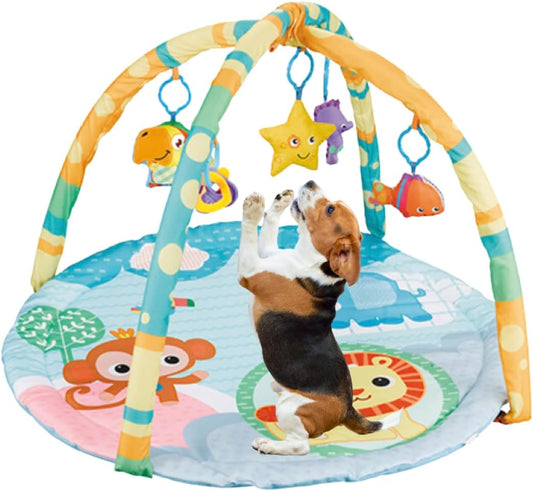 Cutie Patootie Playhouse Puppy Play Gym - Dog & Cat Activity Mat with Squeaky Toys - Interactive Sensory Mat for Pets (Suitable for Dogs & Cats Up to 25 lbs)