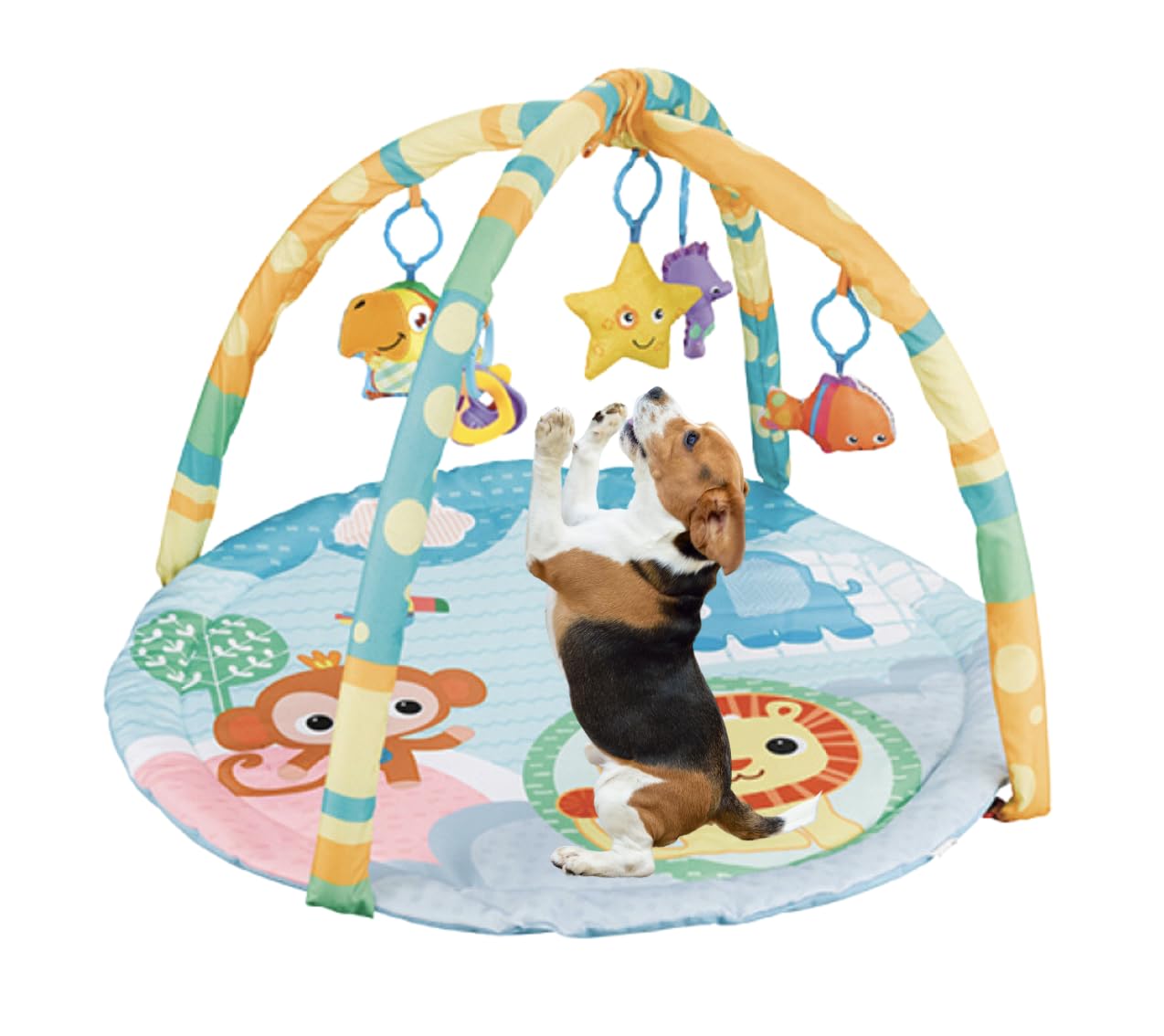 Cutie Patootie Playhouse Puppy Play Gym - Dog & Cat Activity Mat with Squeaky Toys - Interactive Sensory Mat for Pets (Suitable for Dogs & Cats Up to 25 lbs)