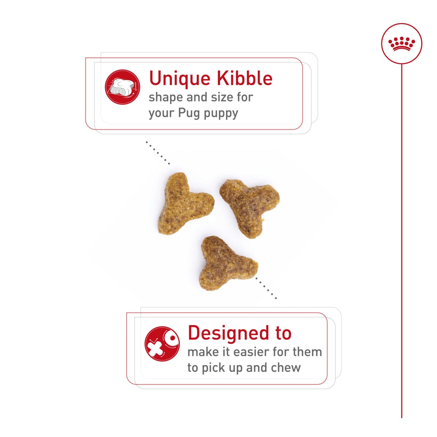 Royal Canin Breed Health Nutrition Pug Puppy Dry Dog Food, 2.5 lb Bag