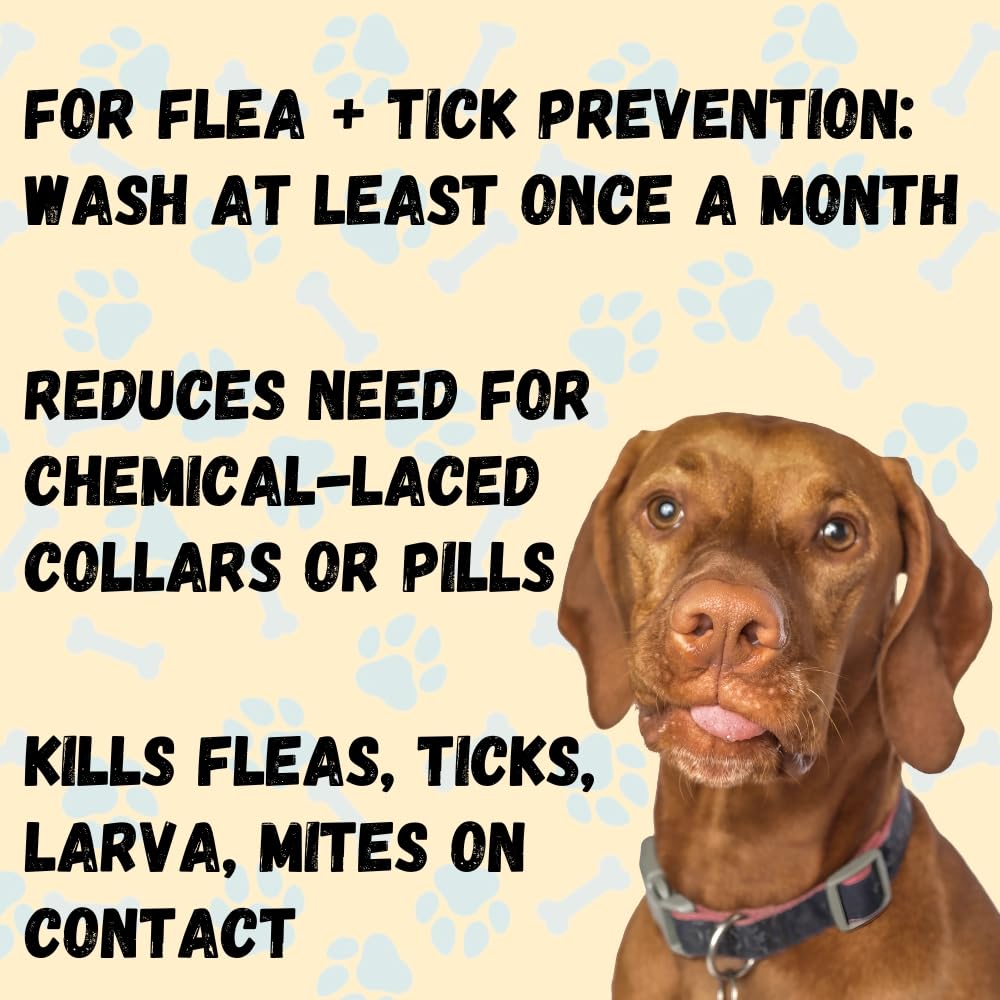 Pet Flea & Tick Treatment Shampoo, Coat Armor - 100% Organic, All-Natural & Non-Toxic to Pets. Fast Relief for Dry, Itchy, Sensitive Skin. Tearless, Odor Controlling, Lavender, Made in USA 16oz