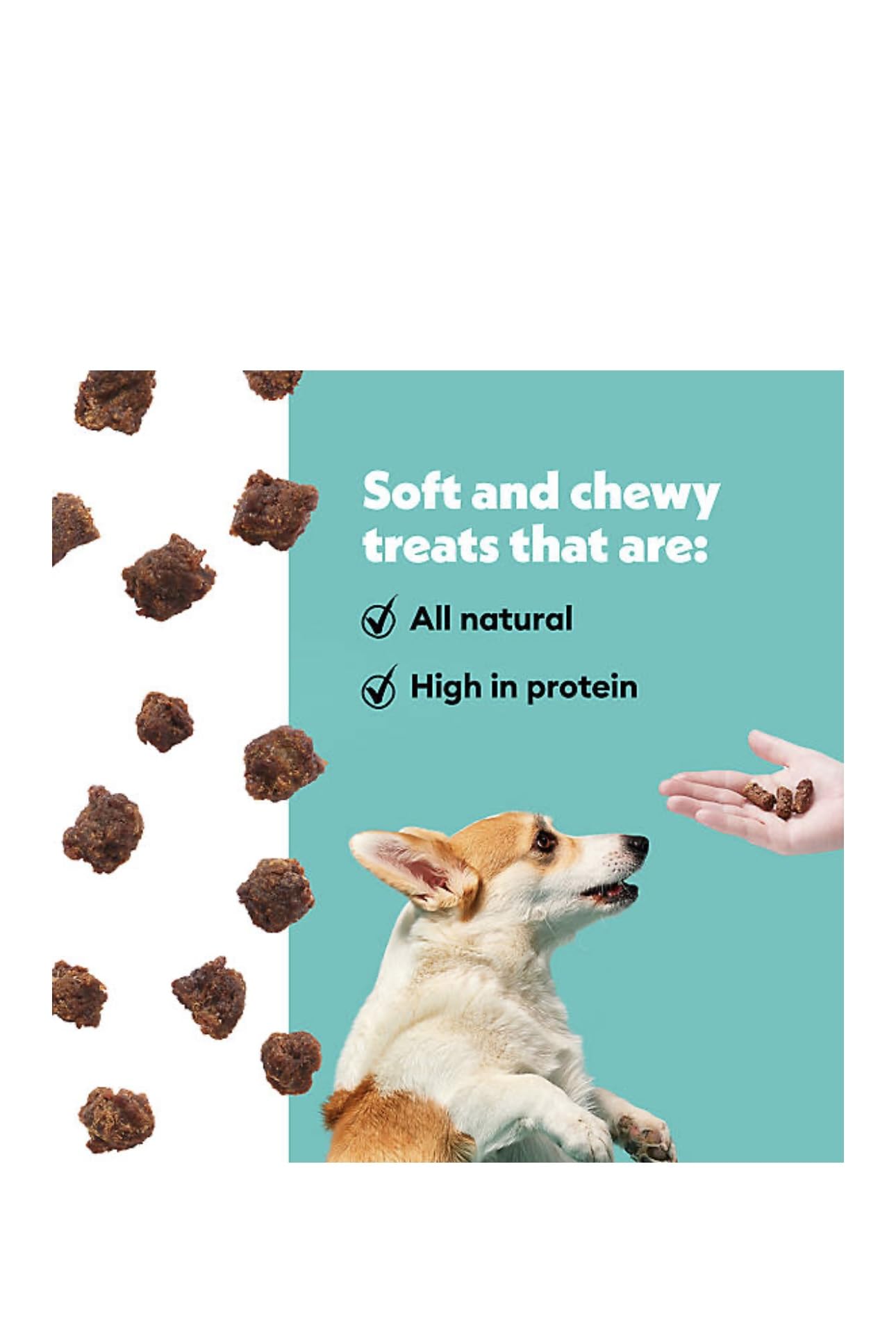 Chippin Natural Dog Treat, Spirulina, Kale Carrots, Healthy Meal Topper, Crunchy Vegan Dog Biscuit for Puppies, Seniors, Stops Grass Eating, Hypoallergenic, Gift, Sustainable Product