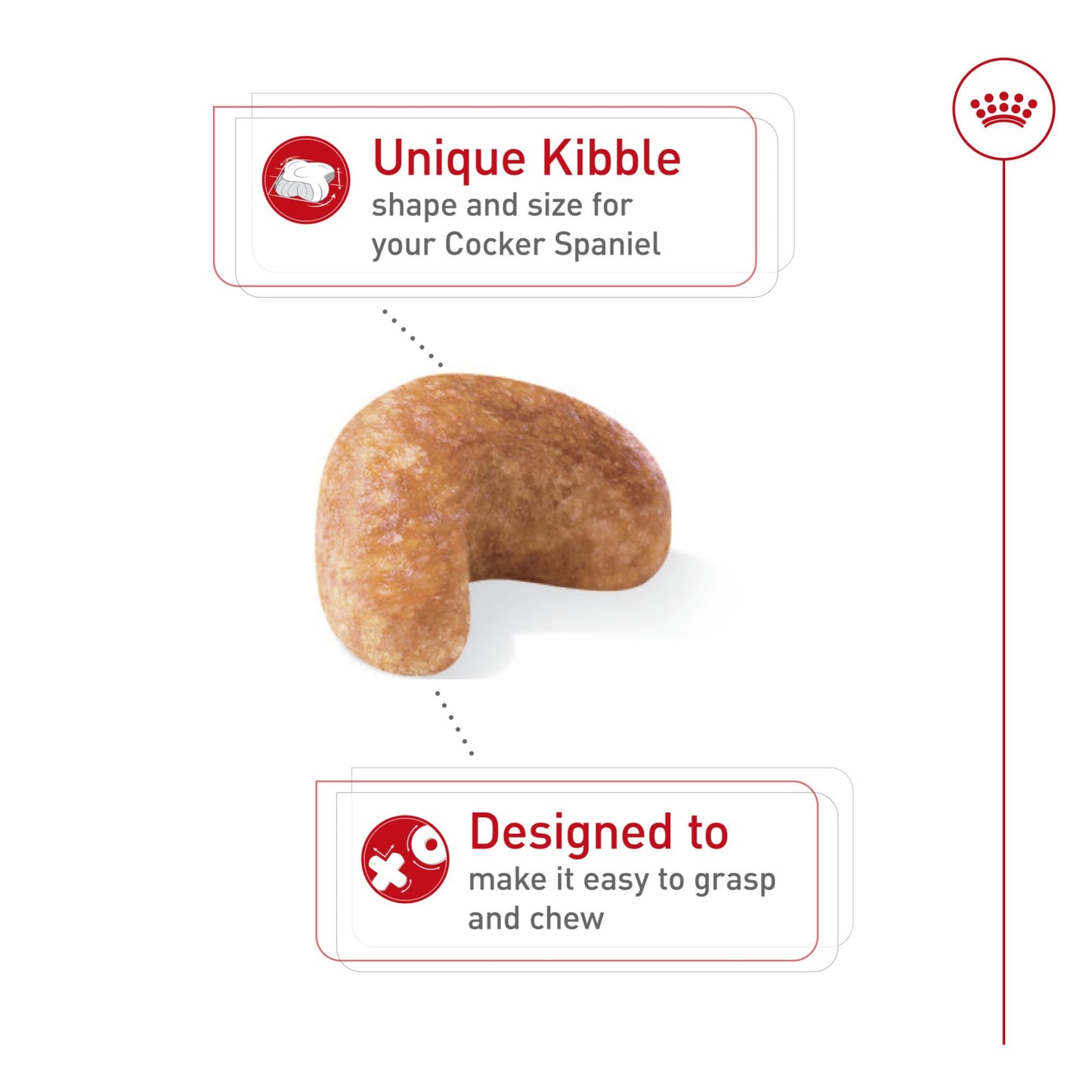 Royal Canin Cocker Spaniel Adult Dry Dog Food, 25 lb bag