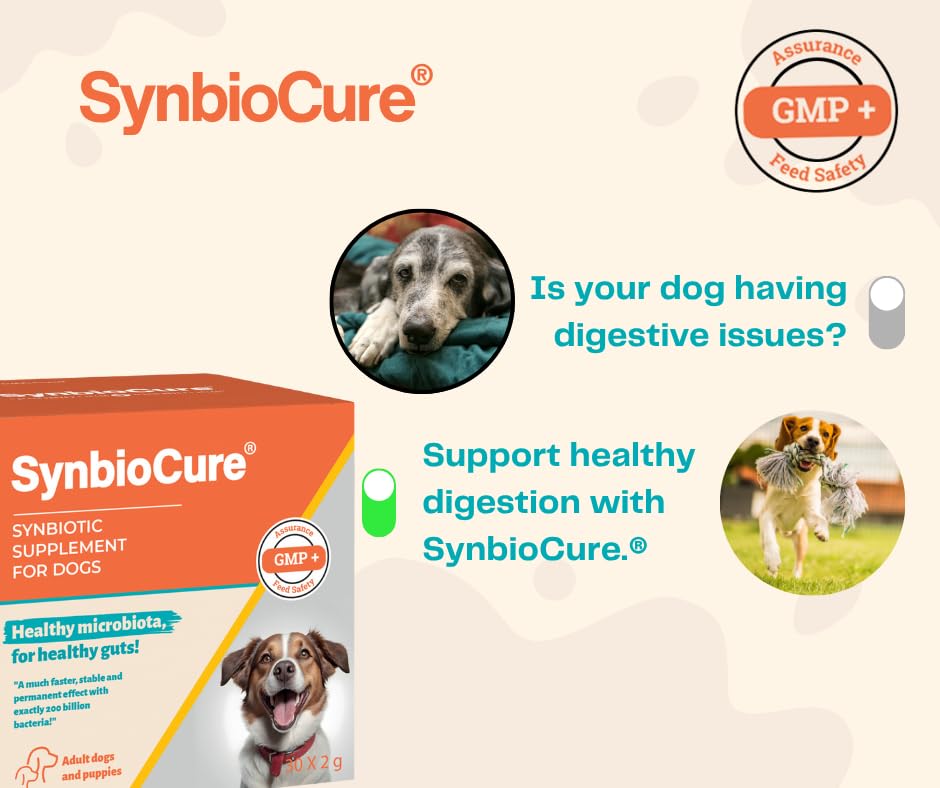 Synbiocure I Probiotics & Prebiotics for Dogs I Powder Dog Supplement I Digestive Health Support I 200 Billion Bacteria Per Sachet I 30 Sachets*2 g